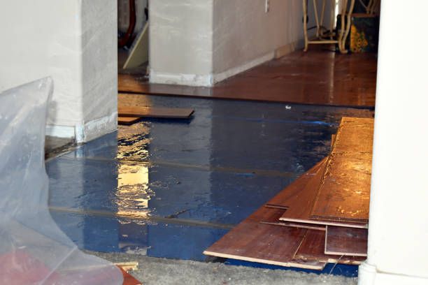 Professional Water Damage Restoration technician working in Godfrey, IL